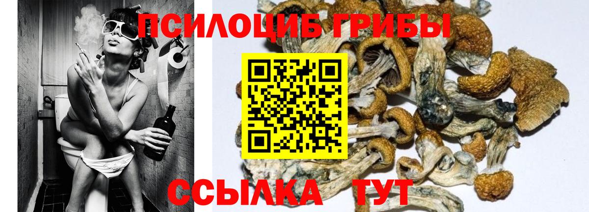Галлюциногенные грибы мухоморы Нерюнгри